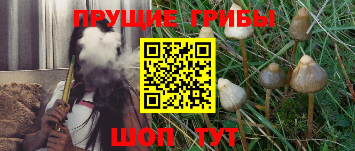 Симферополь  Галлюциногенные грибы Cubensis  как найти закладки  Вход с VPN 